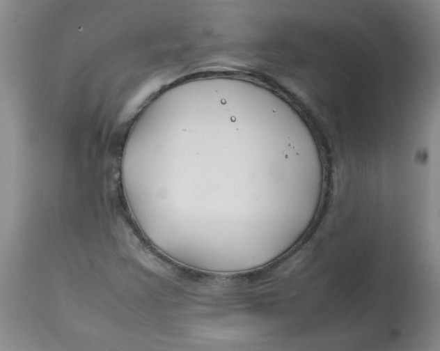 X0000113761355200910211159