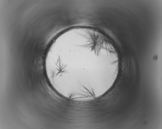 X0000113761356200910211159