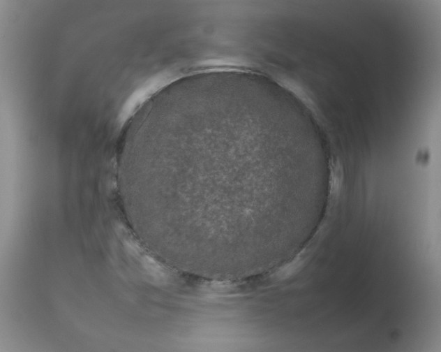 X0000113761357200910211159