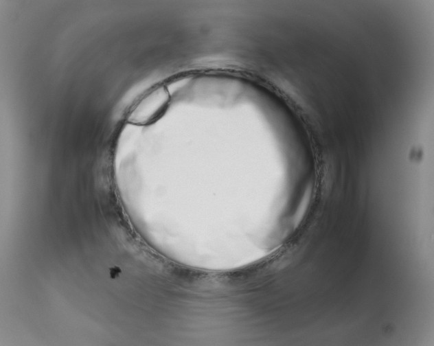 X0000113761358200910211159