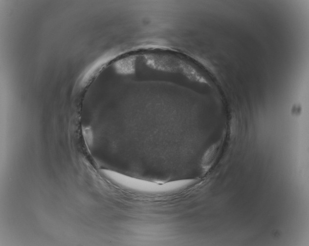 X0000113761359200910211159