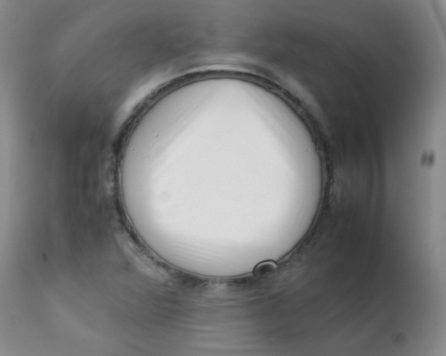 X0000113761360200910211159