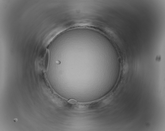 X0000113761361200910211159