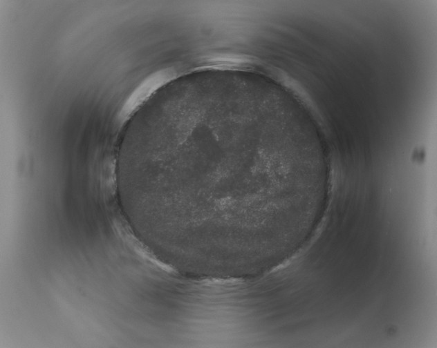 X0000113761362200910211159