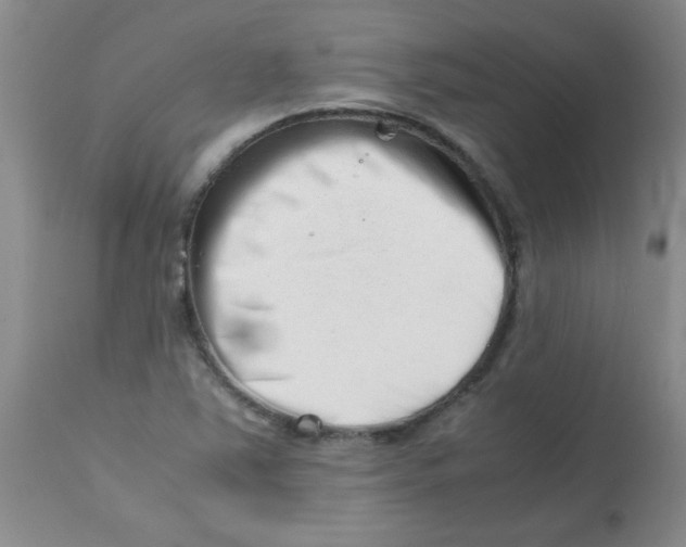 X0000113761363200910211159