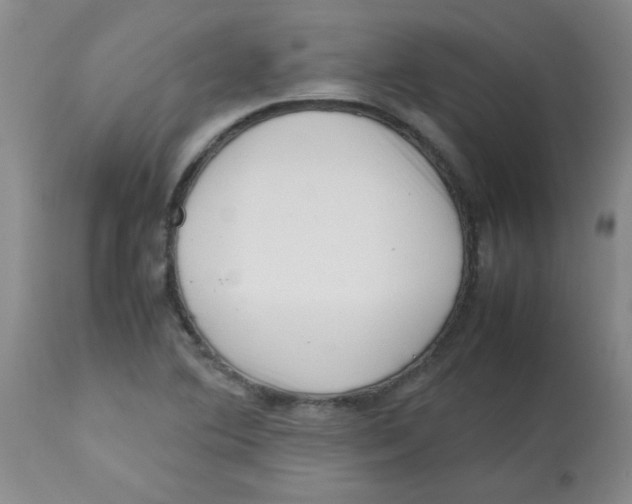 X0000113761364200910211159