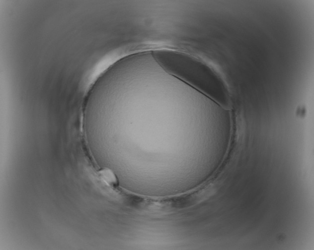 X0000113761365200910211159