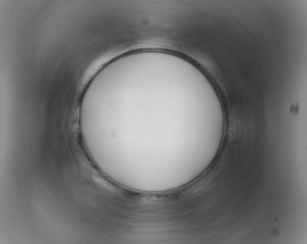 X0000113761366200910211159