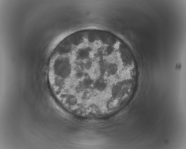 X0000113761367200910211159