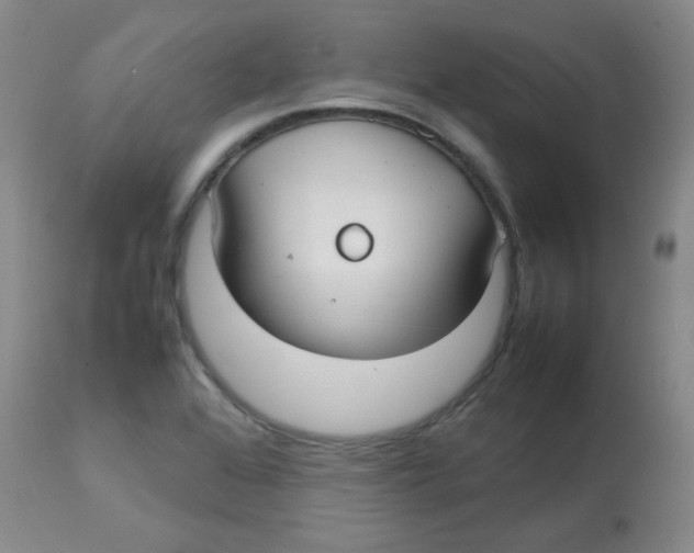 X0000113761368200910211159