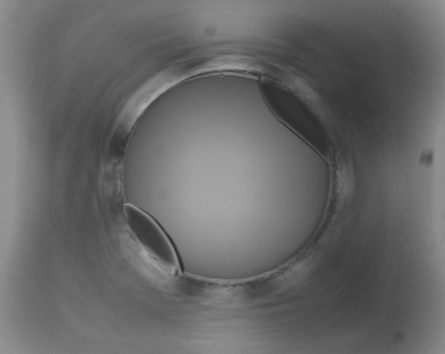 X0000113761369200910211159