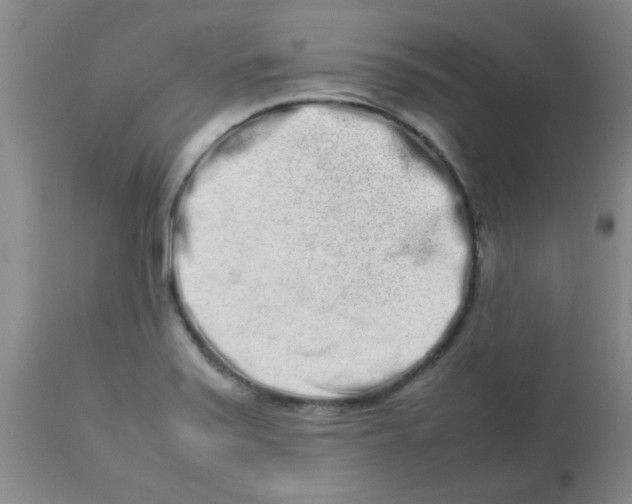 X0000113761371200910211159