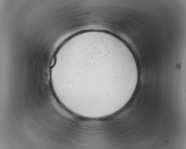 X0000113761372200910211159