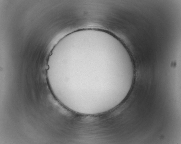 X0000113761374200910211159