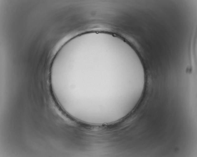 X0000113761375200910211159