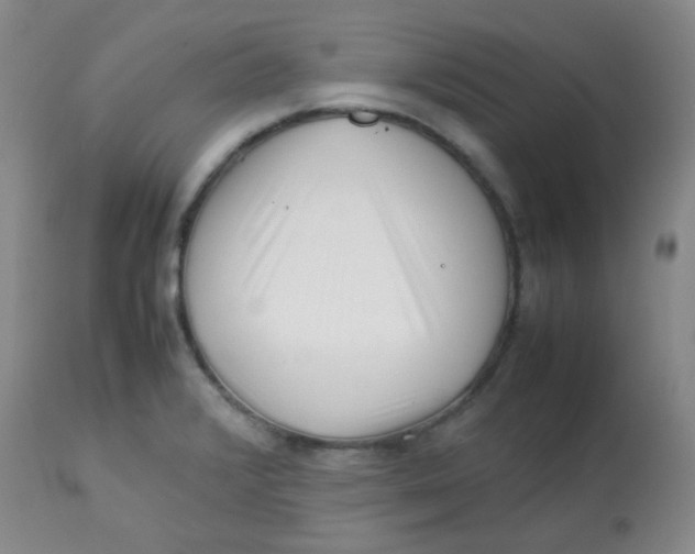 X0000113761376200910211159