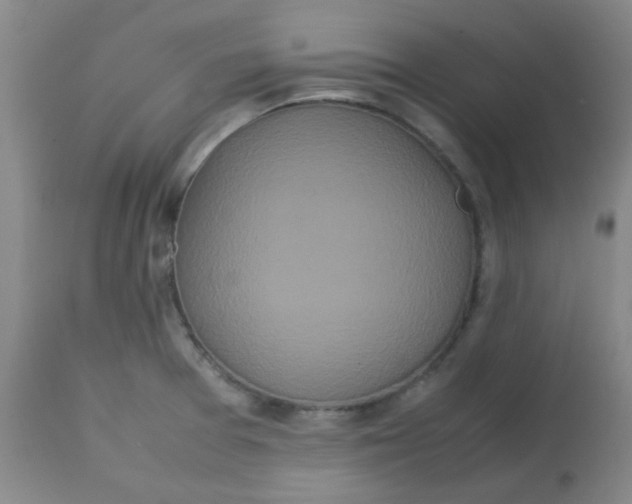 X0000113761377200910211159