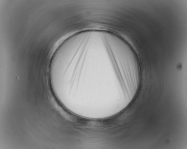 X0000113761379200910211159