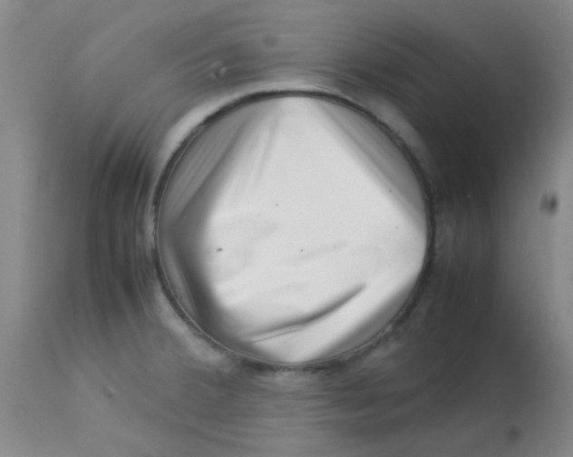 X0000113761380200910211159