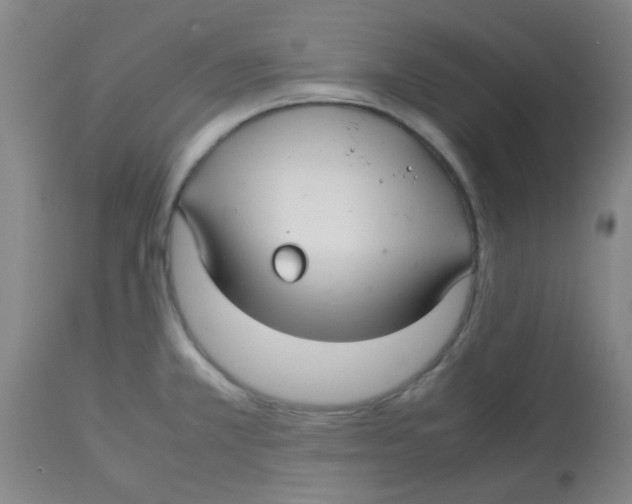 X0000113761381200910211159