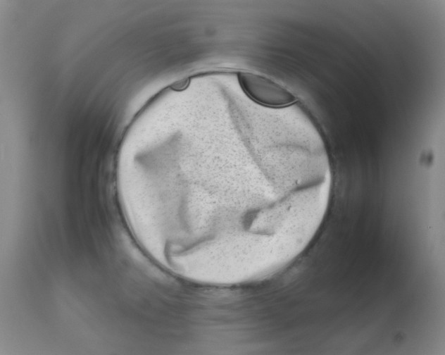 X0000113761382200910211159