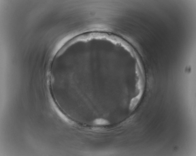 X0000113761383200910211159