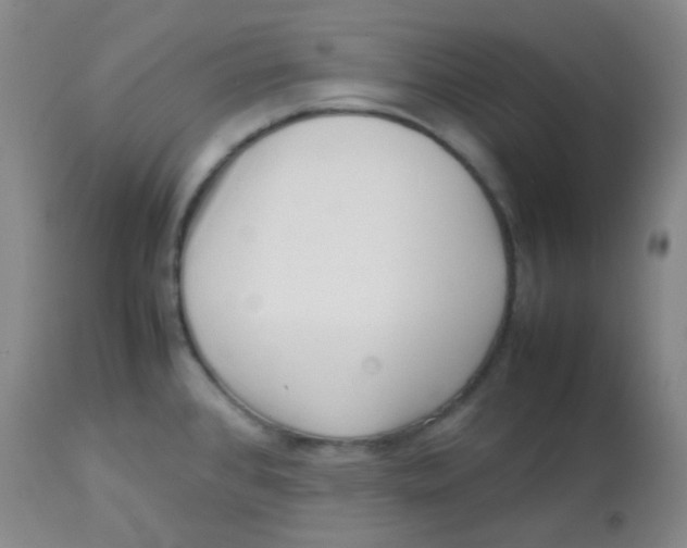 X0000113761384200910211159