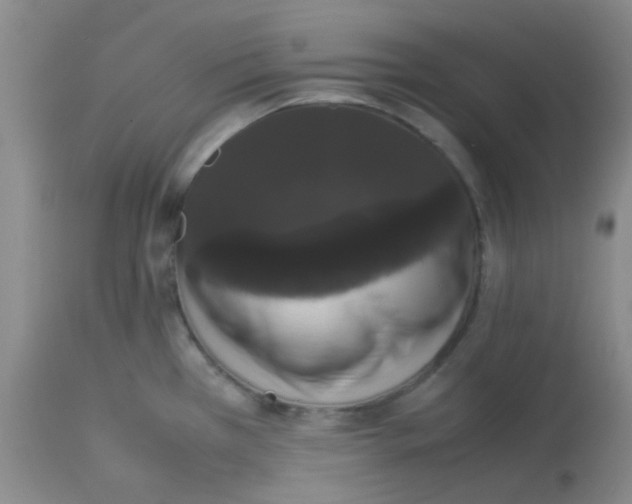 X0000113761385200910211159