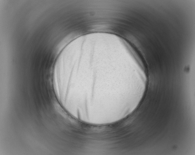 X0000113761386200910211159