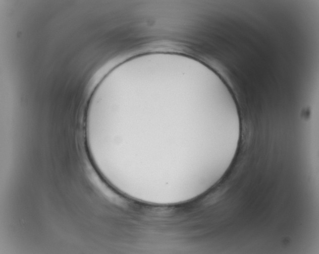 X0000113761387200910211159