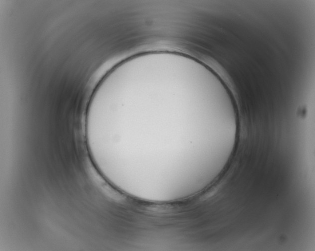 X0000113761388200910211159