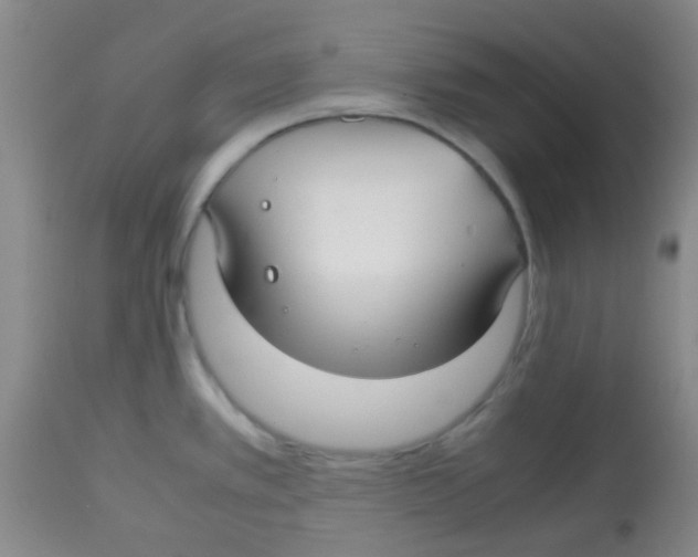 X0000113761389200910211159