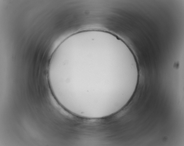 X0000113761390200910211159