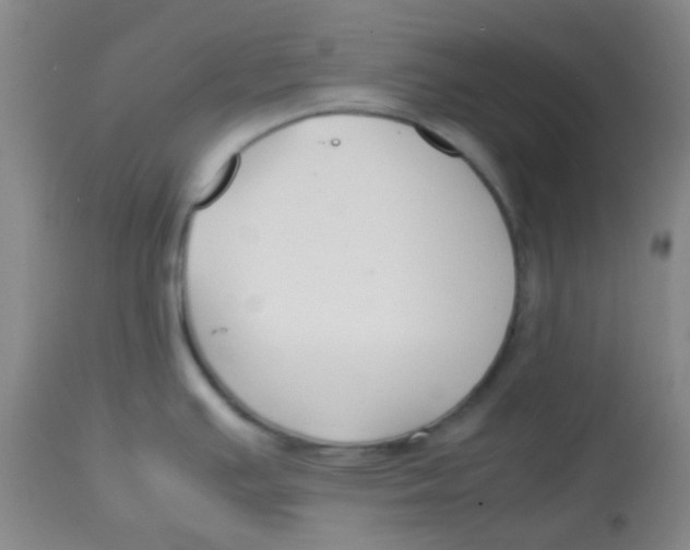 X0000113761391200910211159