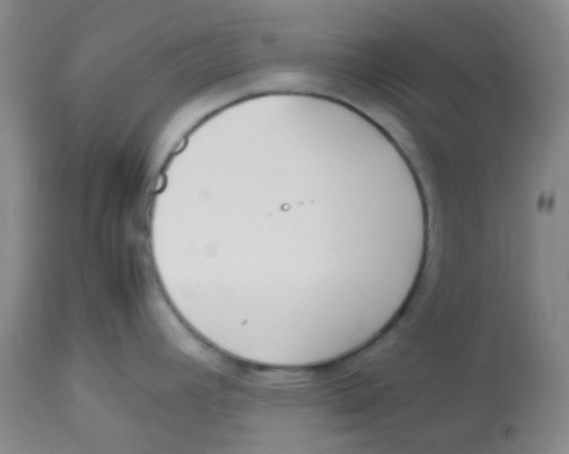 X0000113761392200910211159