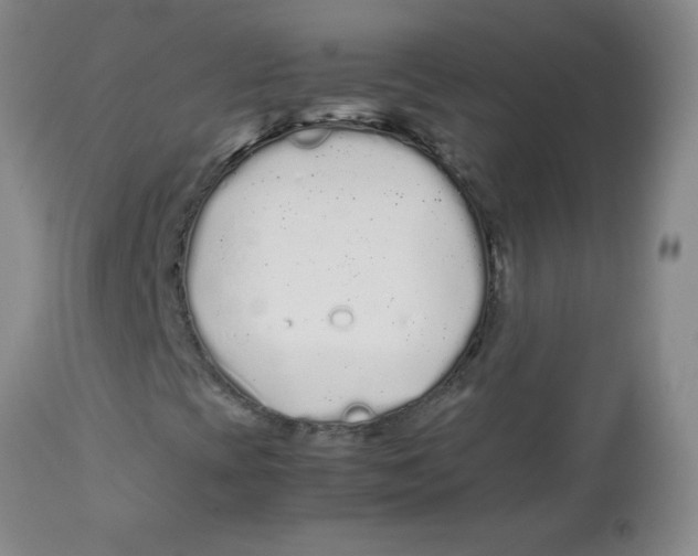 X0000113761393200910211158