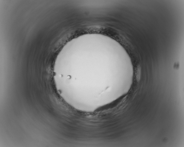 X0000113761395200910211158