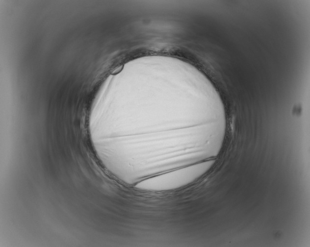 X0000113761396200910211158