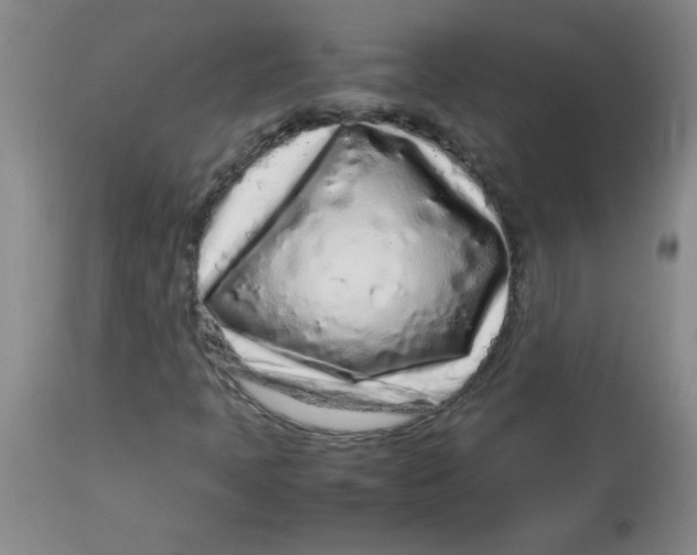 X0000113761397200910211158