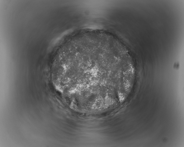 X0000113761398200910211158