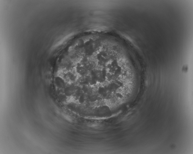 X0000113761399200910211158