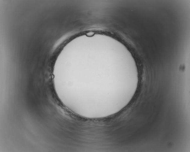 X0000113761400200910211158