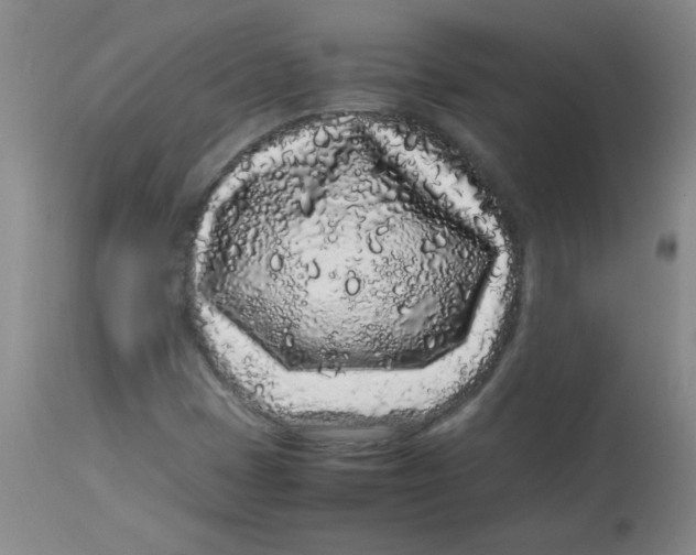 X0000113761401200910211158