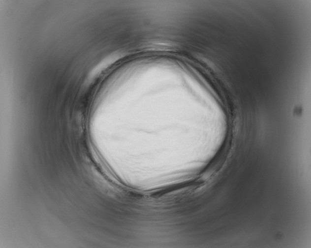 X0000113761402200910211158