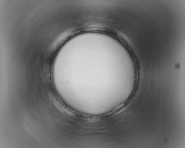 X0000113761403200910211158