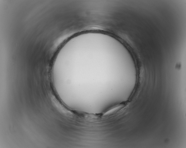 X0000113761404200910211158