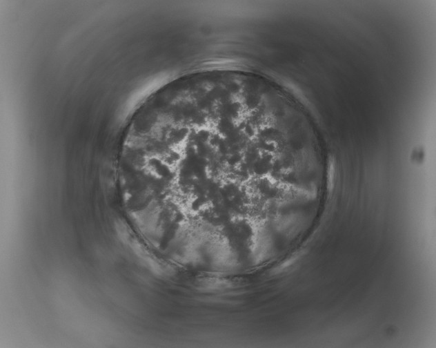 X0000113761405200910211158