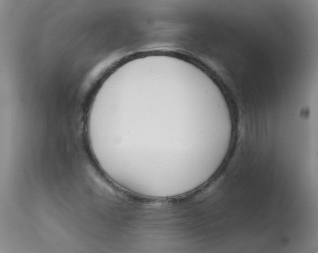 X0000113761406200910211158