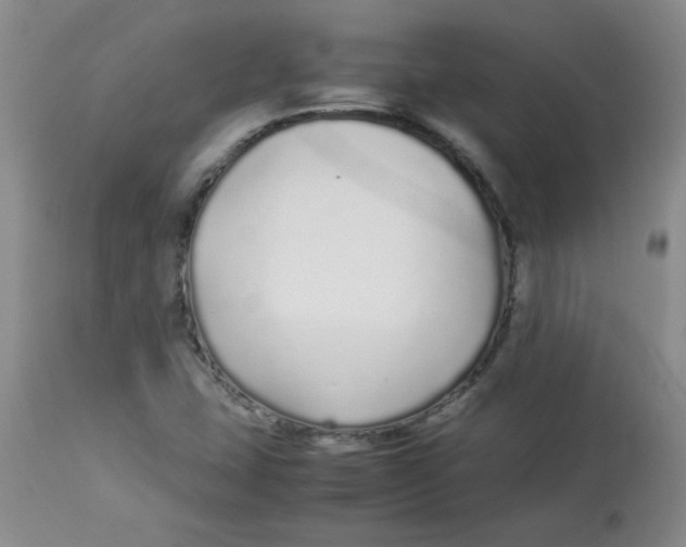 X0000113761407200910211158