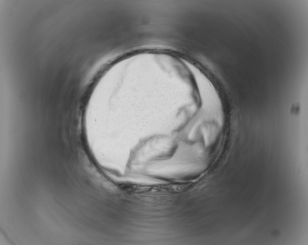 X0000113761408200910211158